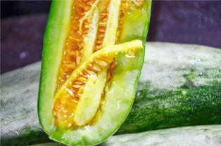 更多网红吃瓜爆料,娱乐圈惊天大瓜，揭秘明星背后真相