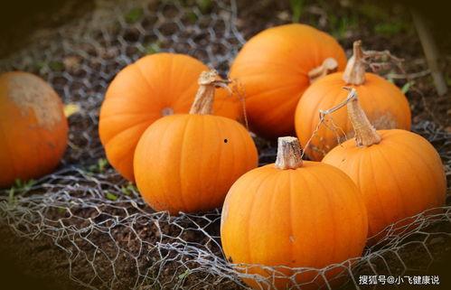 黑贝瓜是南瓜吗怎么吃的,南瓜家族的新成员，独特吃法大揭秘