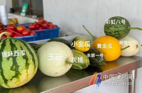 西安今日吃瓜新闻报道,吃瓜群众聚焦最新街头新闻