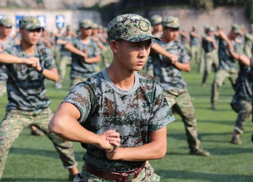 吃瓜网51爆料军训,吃瓜网51爆料，真实军训生活大曝光