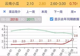 今日小瓜价位走势分析,洞察今日市场动态