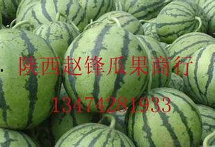 海南哈密瓜今日价格行情,价格行情一览