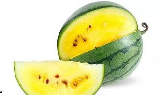 最好看的爆料吃瓜,年度最惊艳瓜料大揭秘！