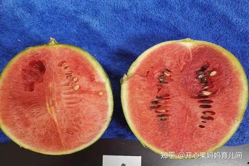 今日宜吃瓜壁纸,揭秘娱乐圈最新热点，壁纸带你一探究竟