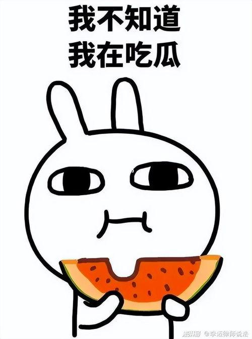 中单黑兔吃瓜,揭秘电竞圈幕后风云