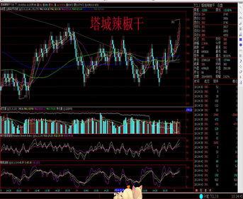 新疆今日籽瓜行情走势图,涨跌波动背后的市场动向