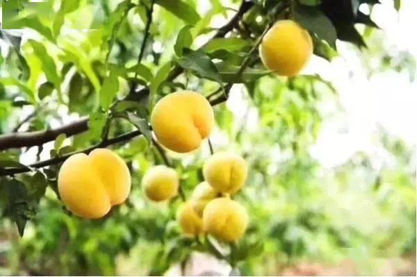 丽水今日大瓜,揭秘惊人内幕，引发网友热议