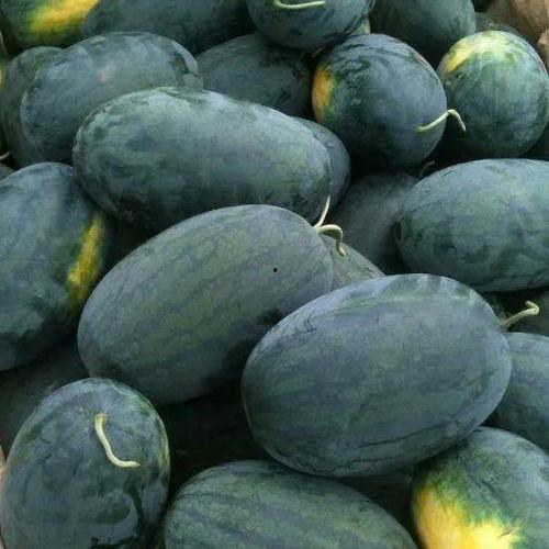 王瓜里面是黑的可以吃吗,揭秘黑色王瓜的食用奥秘