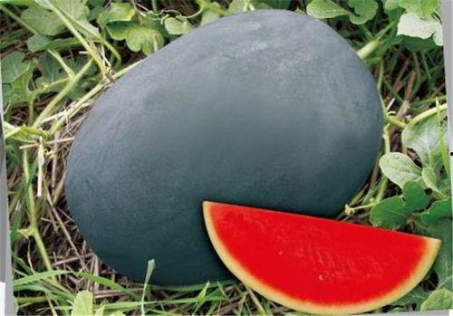 高瓜全都是黑的可以吃吗,能否放心食用？”