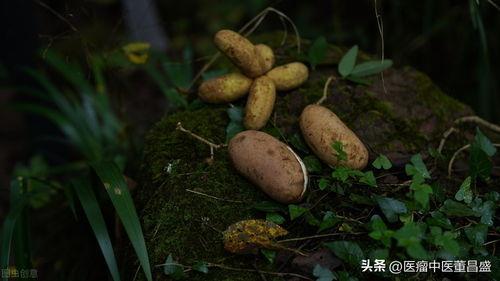 八月瓜今日头条